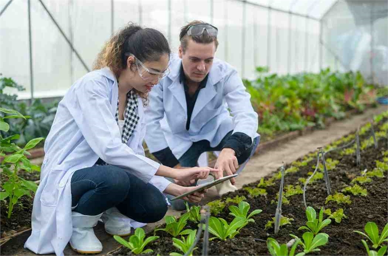 Soilplant Scientist